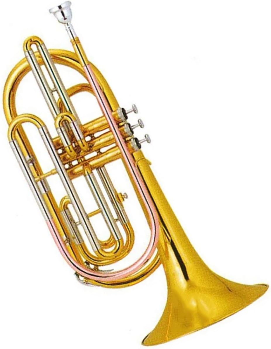 Adult Trombone Instrument Gold Lacquer Stainless Steel Pistons Brass Leadpipes Tuning Bb Trombone