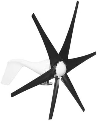 9000W 12V/24V 6 Blade Wind Turbines Wind Generator Horizontal Home Windmill,Black,24v