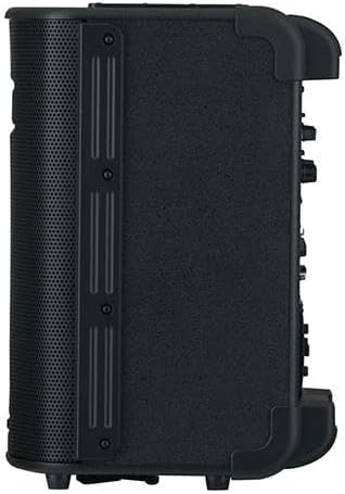 Roland BA-330 PA System, Black