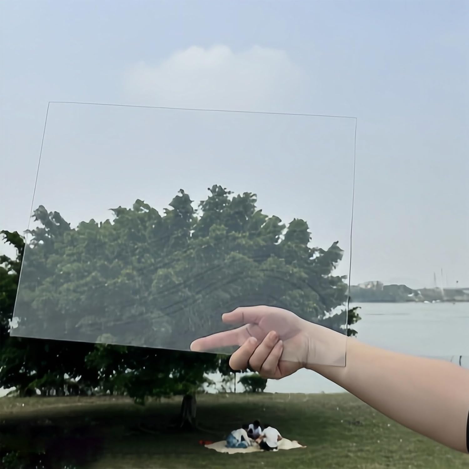 Polycarbonate Greenhouse Panels, 1.5mm Thick Polycarbonate Roofing Sheet, Greenhouse Shed Canopy, Easy to Cut, for Outdoor Solarium Pergola Patio Gazebo Coop(White,1.56mx10m/5.1x32.8ft)