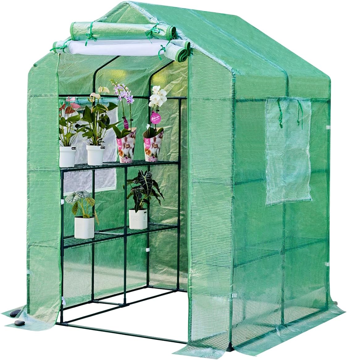 56”x 55”x 74” Walk-in Garden Greenhouse for Outdoor, Mesh Cover with Shelving System,Plant Growing Structure,Roll-up Entry Doors and 2 Screen for Winter (Green) (Green)