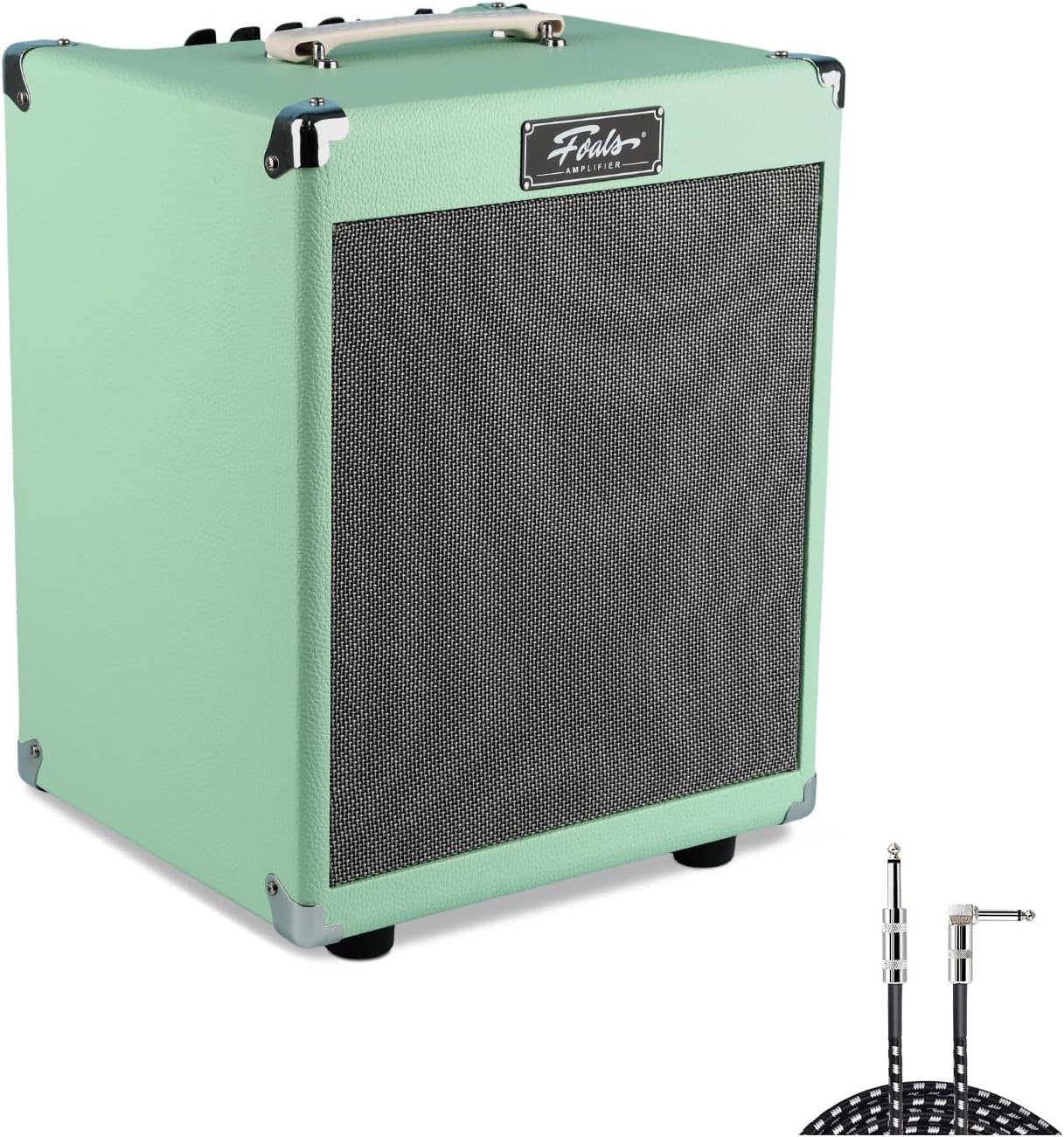 FOALS FK30 30W Electric Bass Amp – 8