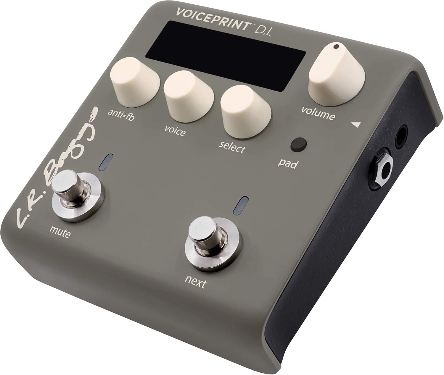 L.R. Baggs Voiceprint DI Acoustic Guitar Impulse Response Effects Pedal