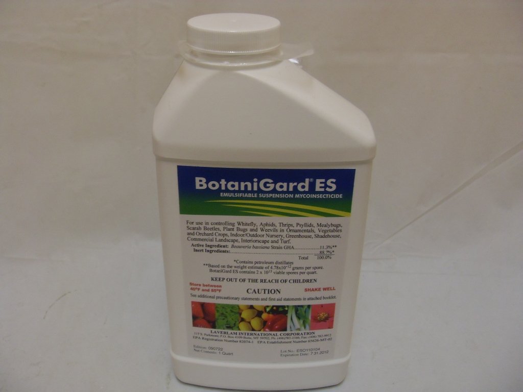 Biological Insecticide 1qt