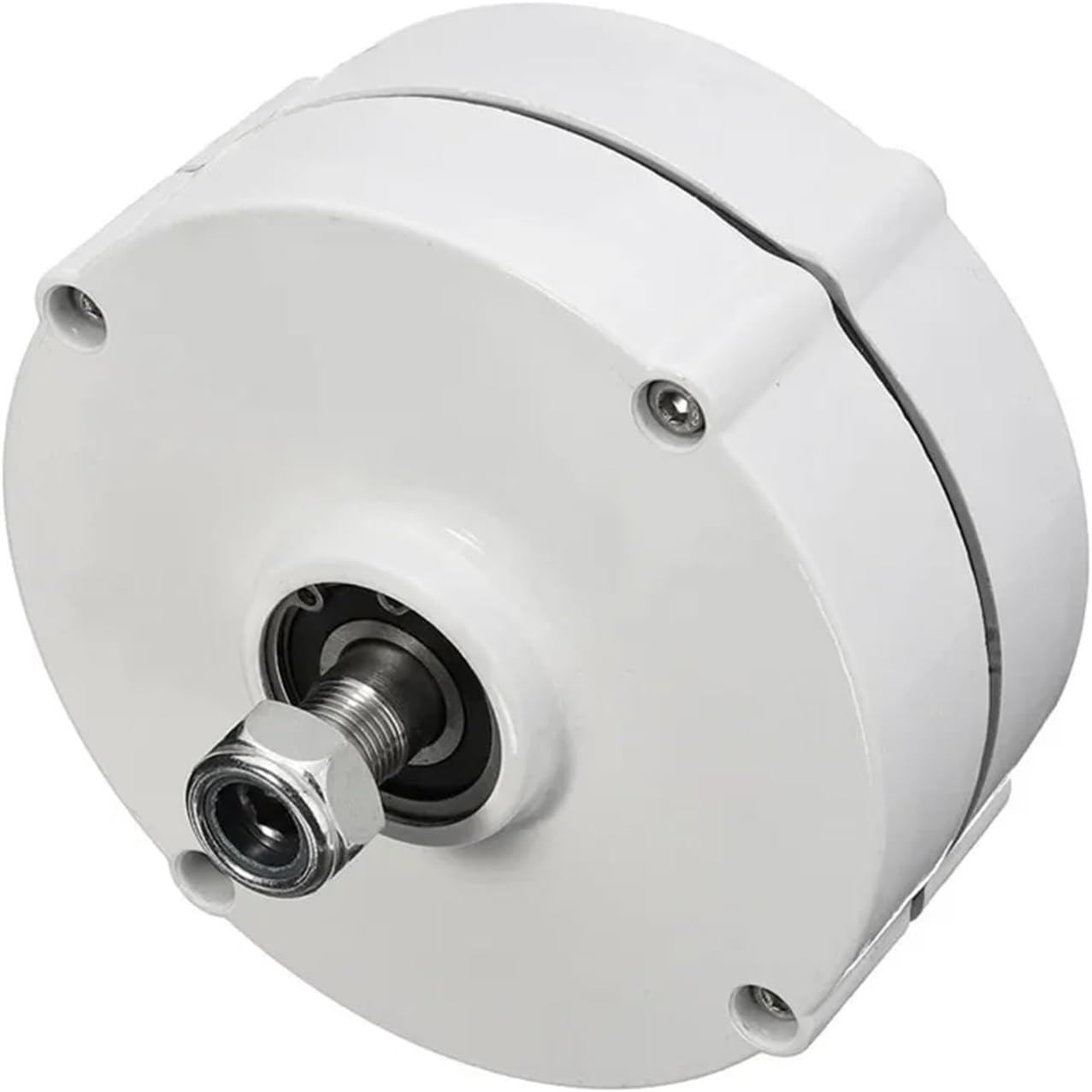 6000W Wind Turbine Generator Kit 12V 24V Wind Turbine Generator Motor 3 Phase Gearless Permanent Magnet AC tor Low Starting Speed for Home(24V)