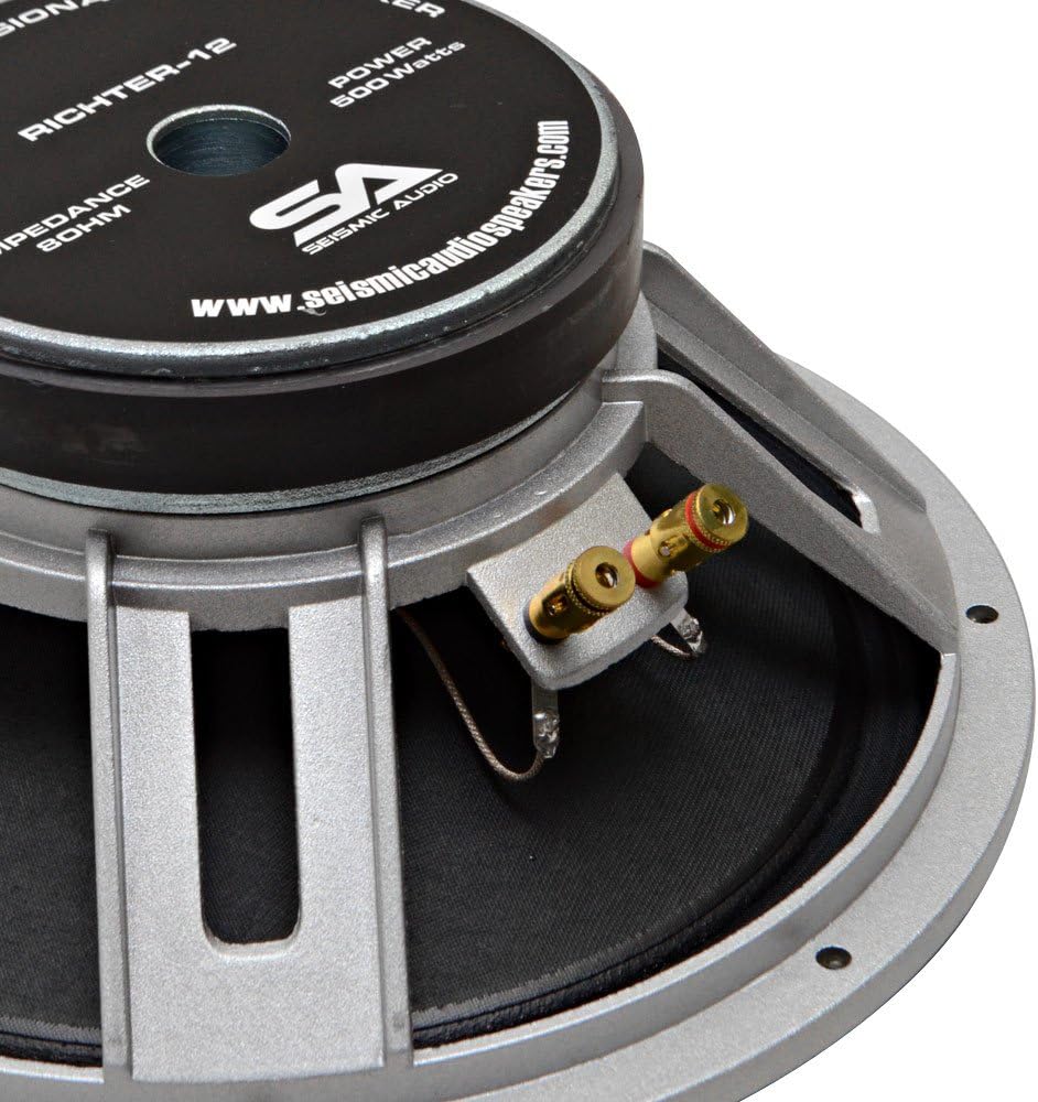 Seismic Audio - Richter 12 - 12