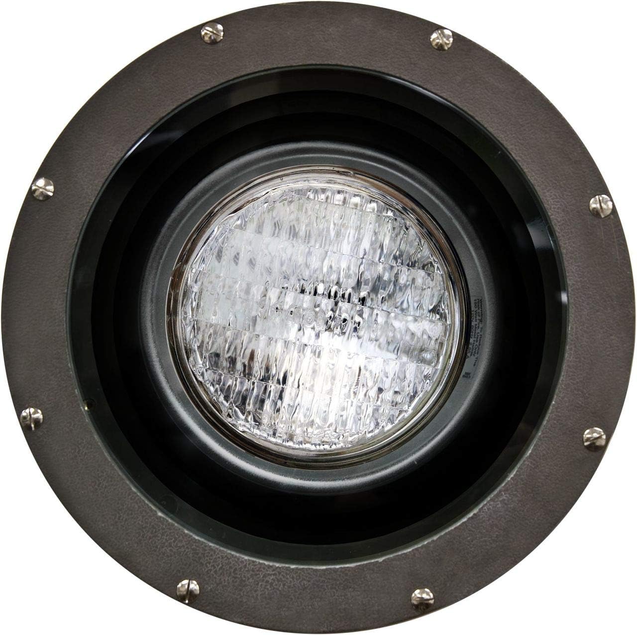 FG4300 Fiberglass PAR38 120V Light, Bronze Finish