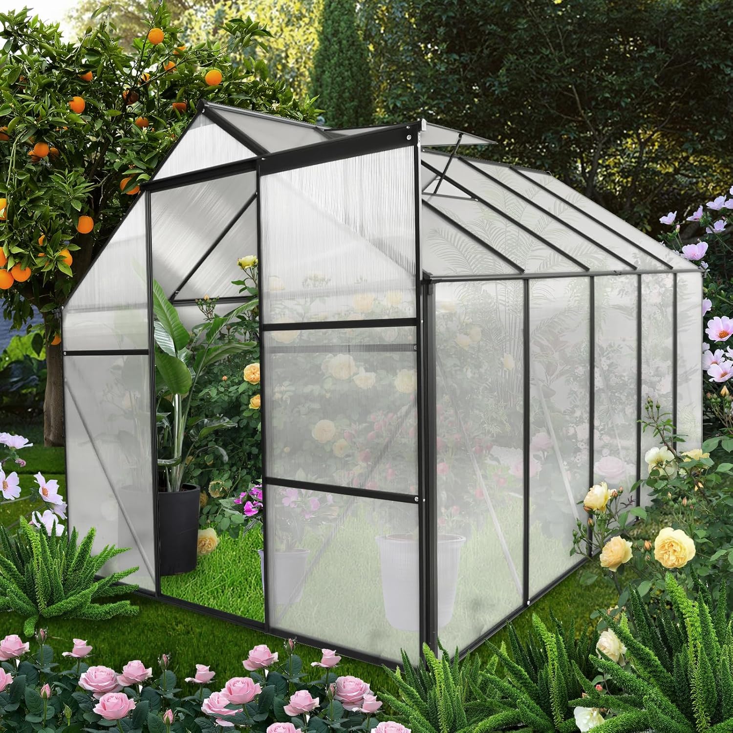 6x10 FT Polycarbonate Greenhouse, Walk-in Garden Greenhouse, Heavy Duty Aluminum for Backyards, All Season Use