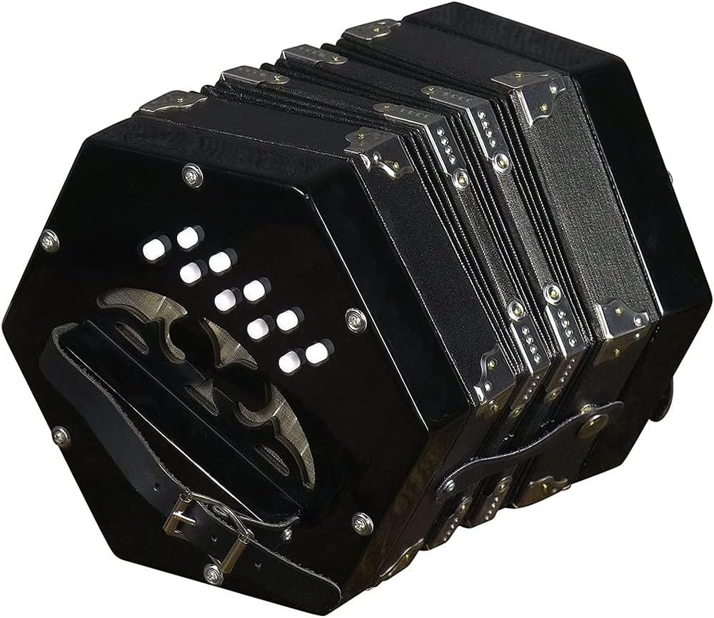 Professional 20 Buttons Concertina, Accordion Piano Musical Instrument, Easy To Learn Music Accordion Instrument, For Children Friends