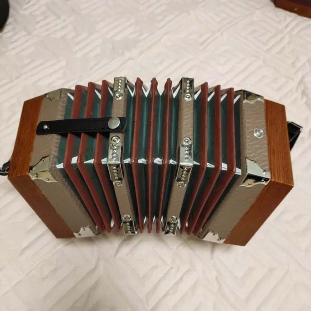 20 Buttons Piano Accordion, Professional Accordion Concertina, Musical Instrument, With Carrying Bag, Excellent Gift For Children Friends