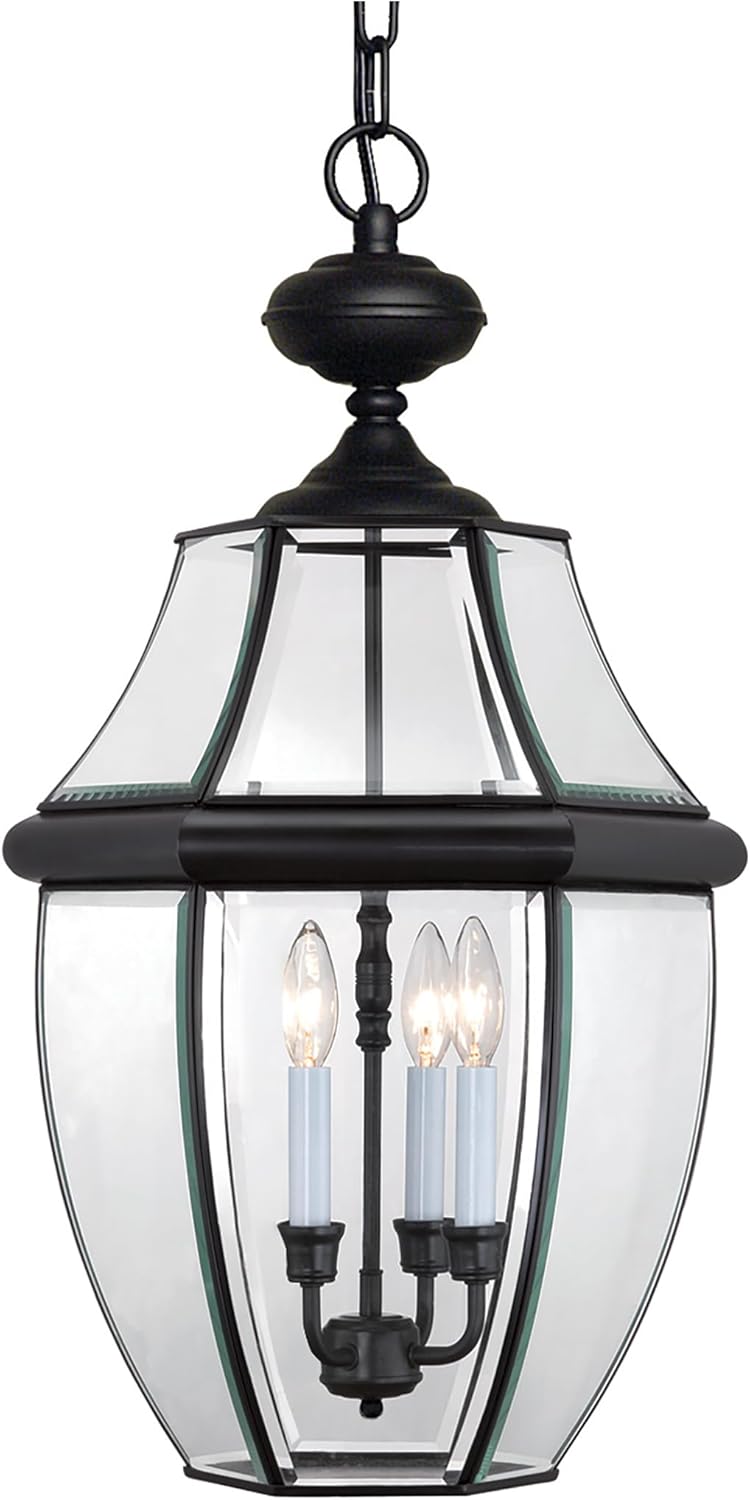 Quoizel Newbury Outdoor Hanging Lantern, 21 Inch 3-Light Mystic Black French Country Lamp-Style Fixture, Max Hanging Height 118