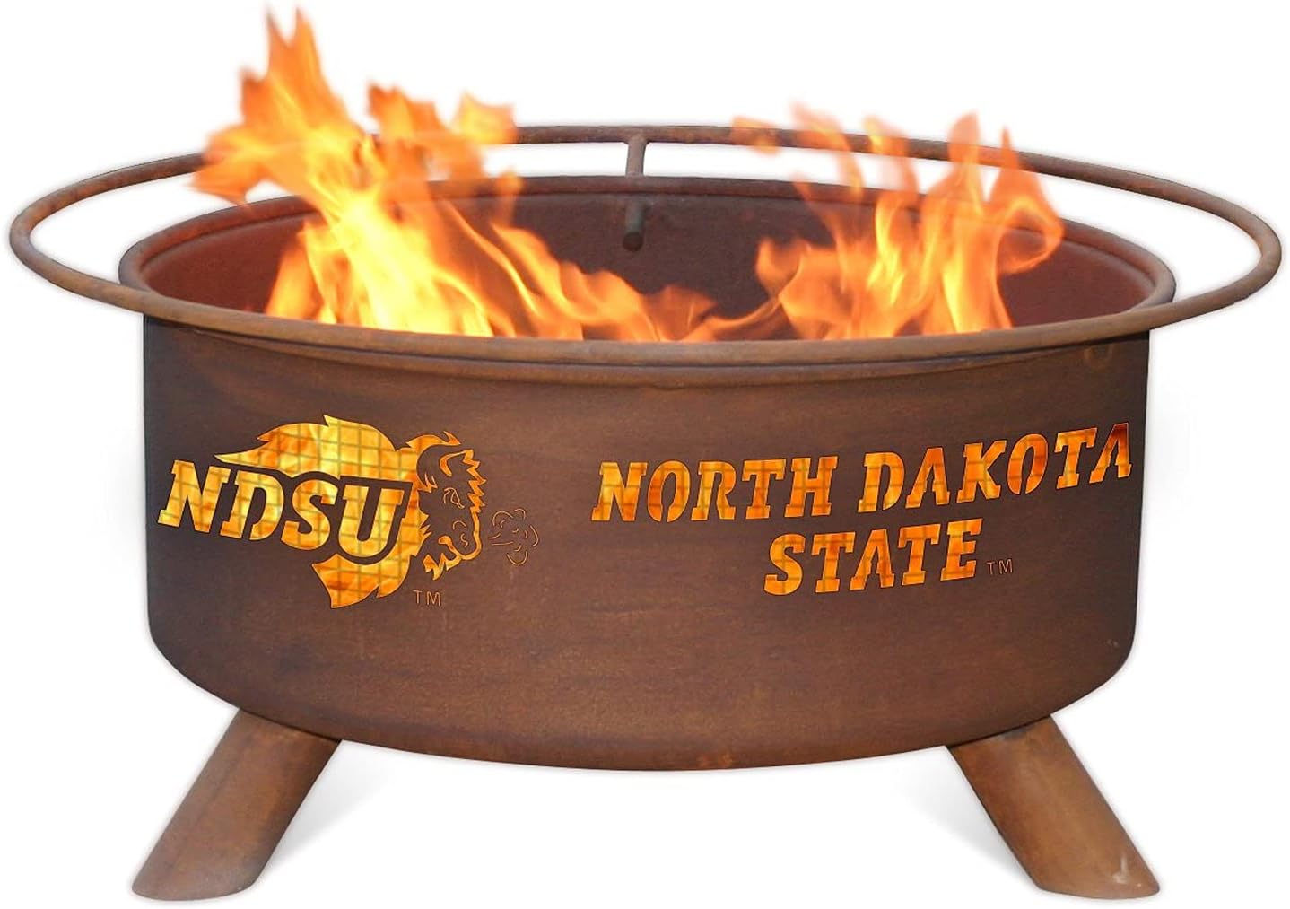 Patina Products F460 North Dakota State Steel Outdoor Fire Pit - 24 x 24 x 11 inch - Natural Rust Patina Finish
