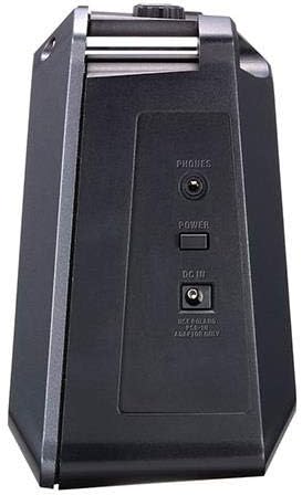 Roland Mobile Cube Battery-Powered Stereo Amplifier