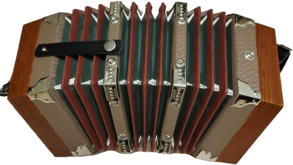 20 Buttons Concertina Accordion, Adjustable Hand Strap And Bag, High-end And Elegant Ergonomic Design, Accordion For Daily Practice Stage Performance
