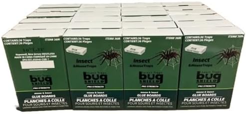 Bug Shield Sticky Glue Traps 36 Glue Boards, Bulk Pack 24 Boxes / 864 Bug Traps. All Types of Incets, Spiders, Cockroaches, Ants, Cave Crickets, and More.Professional Strength Glue.