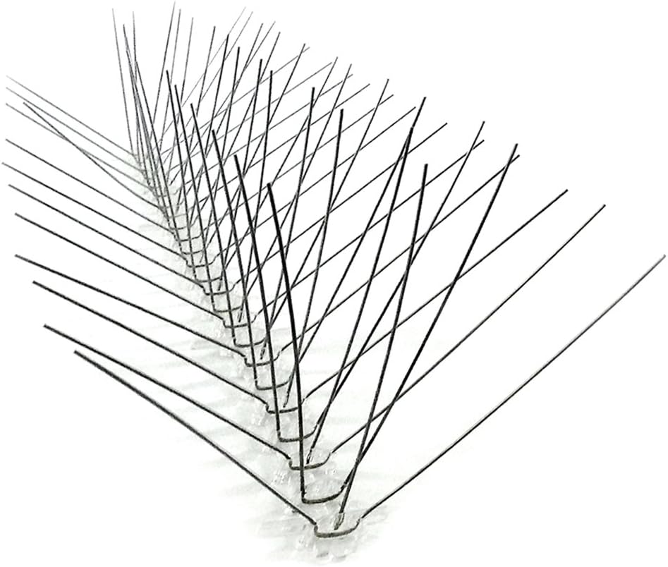 Bird-X Stainless Steel Bird Spikes, 6-inch Regular Wide Spikes, Bird Spikes for Pigeons and Other Small Birds, Easy to Install, Contains 2 ft. Strips, Cover 100 Linear Feet Area