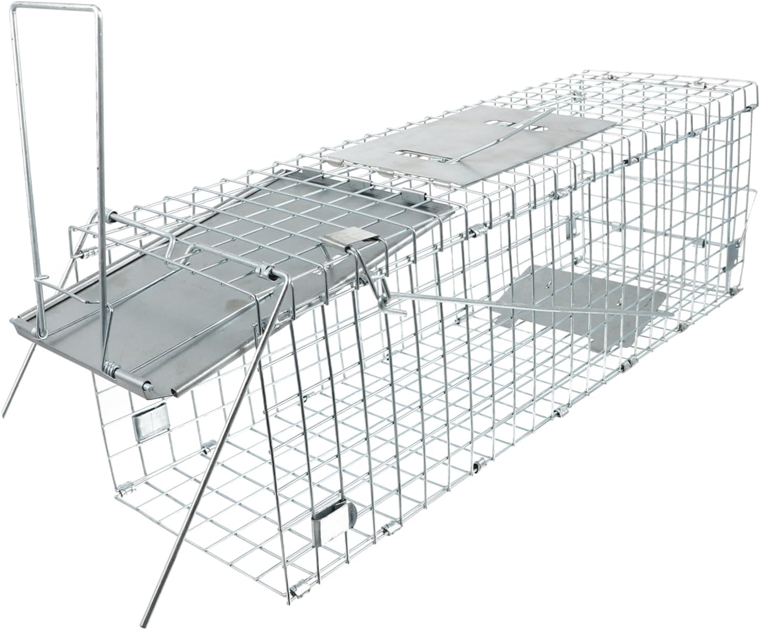 Folding Cat Cage for Humane Trapping of Raccoons Opossums Cats Rabbits