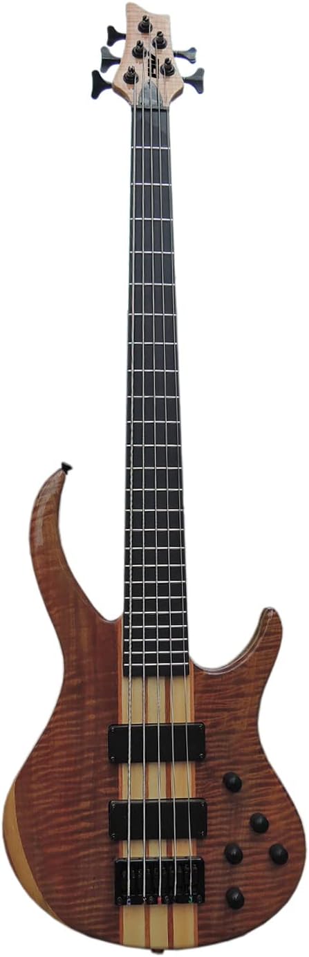 IYV IBSY-500 Neck-through Sycamore top Multi-ply 5-string Bass