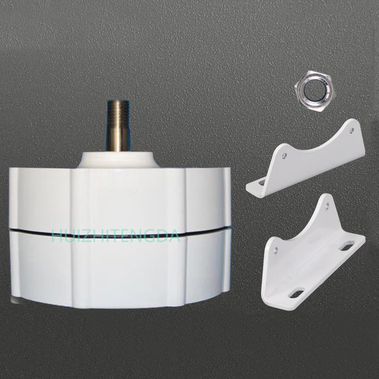 300Rpm 12V 24V 48V 2000W DC Generator Permanent Magnet Alternator Coreless Maglev for Solar Panel Wind Turbine (White)