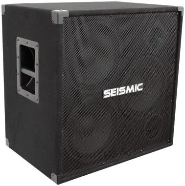 Seismic Audio - 310 Bass Guitar Speaker Cabinet PA DJ 750 Watts 3x10 3 10
