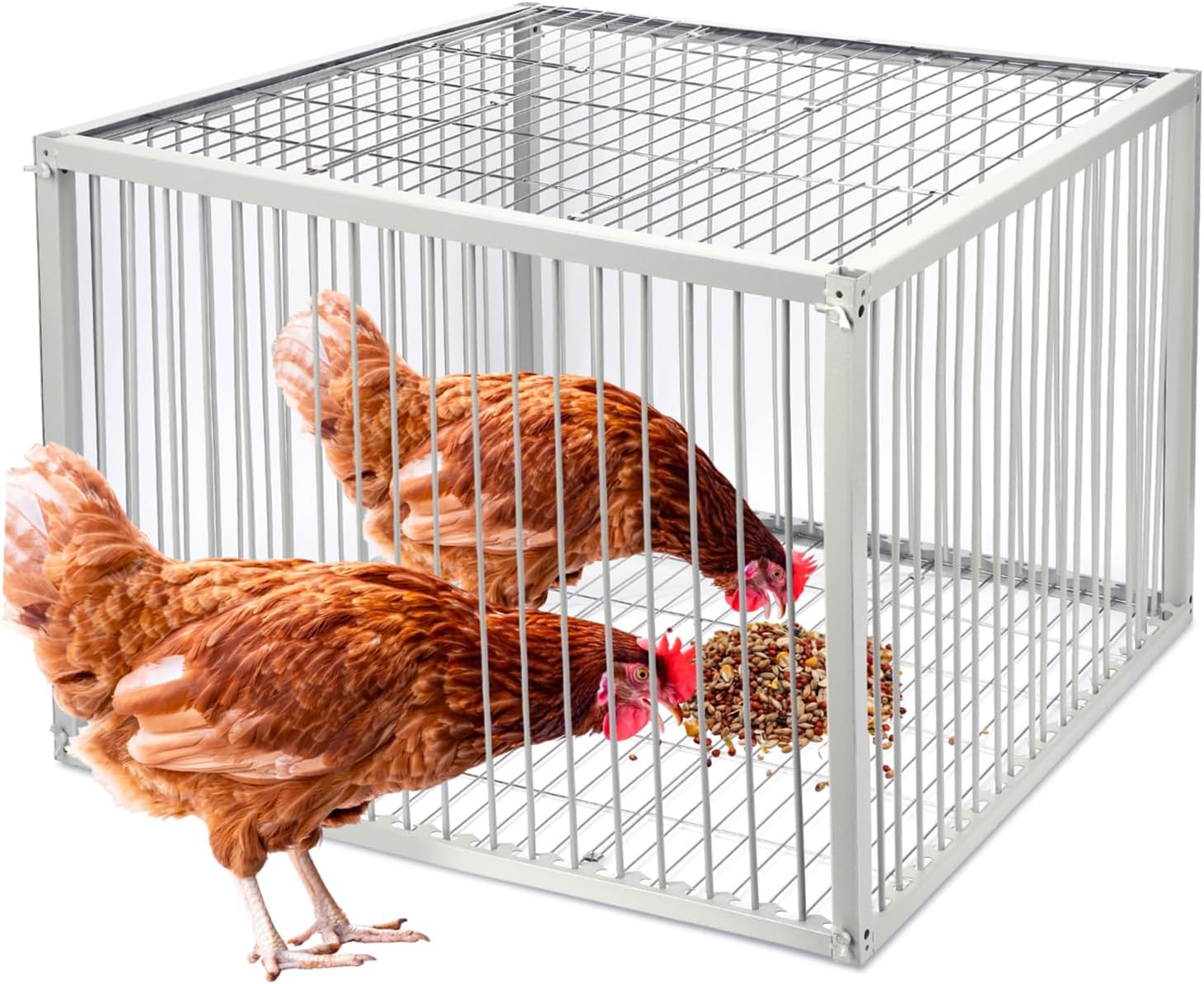 Chicken Trap Cage with Escape-Proof Design – Auto Bird Trap Cage for Chickens and Large Birds | Multi-Catch Pigeons Ducks Traps for Sale with Well Anti-Rust Baking Paint-XL Size