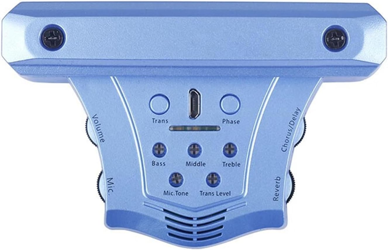 Guitar Pickups and Amplifiers for Professional Performance