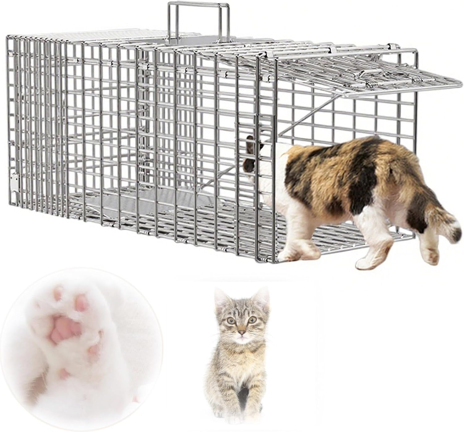 Large Live Animal Cage Trap Cat, Folding Humane Cat Trap for Stray Cats for Feral Cats, Raccoons, Rabbits, Squirrels(61 * 18 * 21cm)