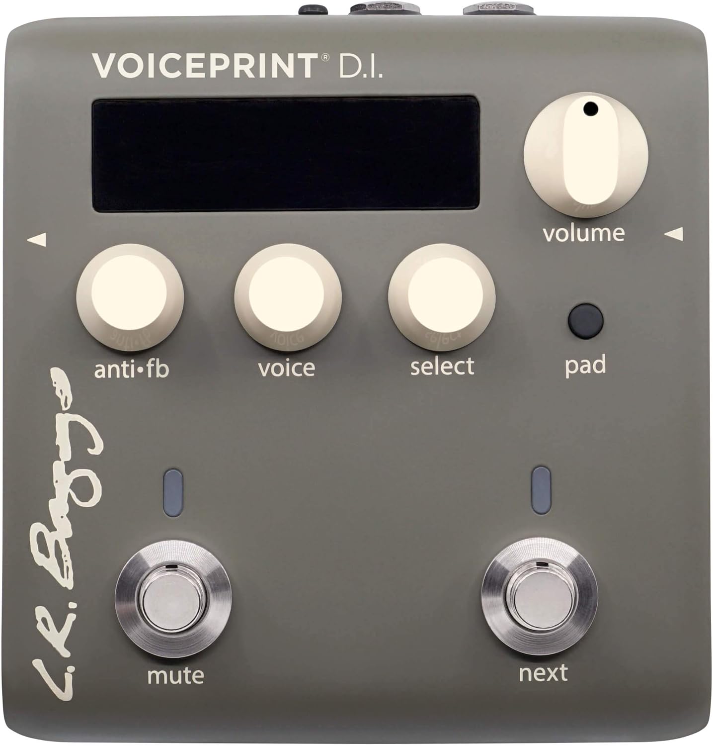L.R. Baggs Voiceprint DI Acoustic Guitar Impulse Response Effects Pedal