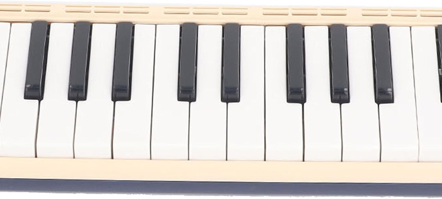 37 Keys Melodica Keyboard, Portable Air Piano Instrument Melodica Instrument For Beginners With Mouthpiece Blowpipe Storage Bag Musical Instrument For Music Lover