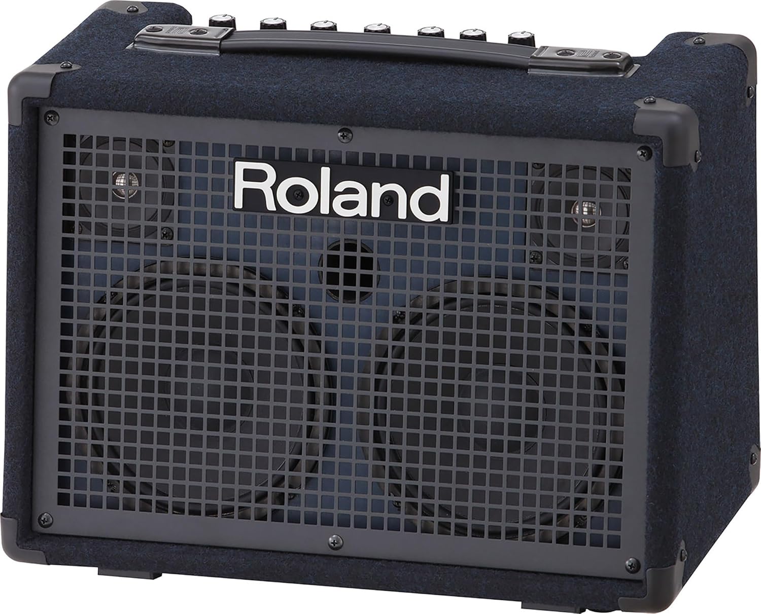 Roland KC-220 Battery-Powered Stereo Keyboard Amplifier Bundle with Gearlux Instrument Cable and Austin Bazaar Polishing Cloth