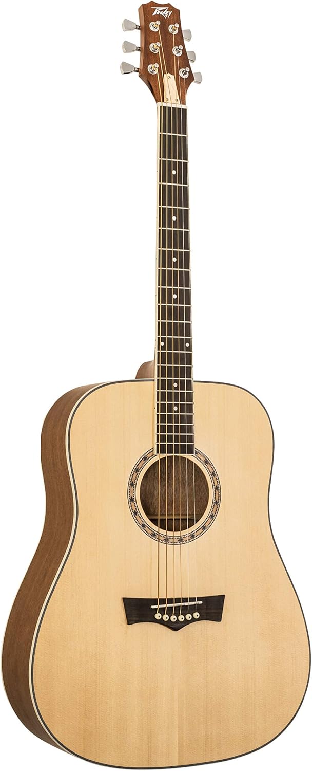 Peavey Delta Woods DW-1 Acoustic Guitar