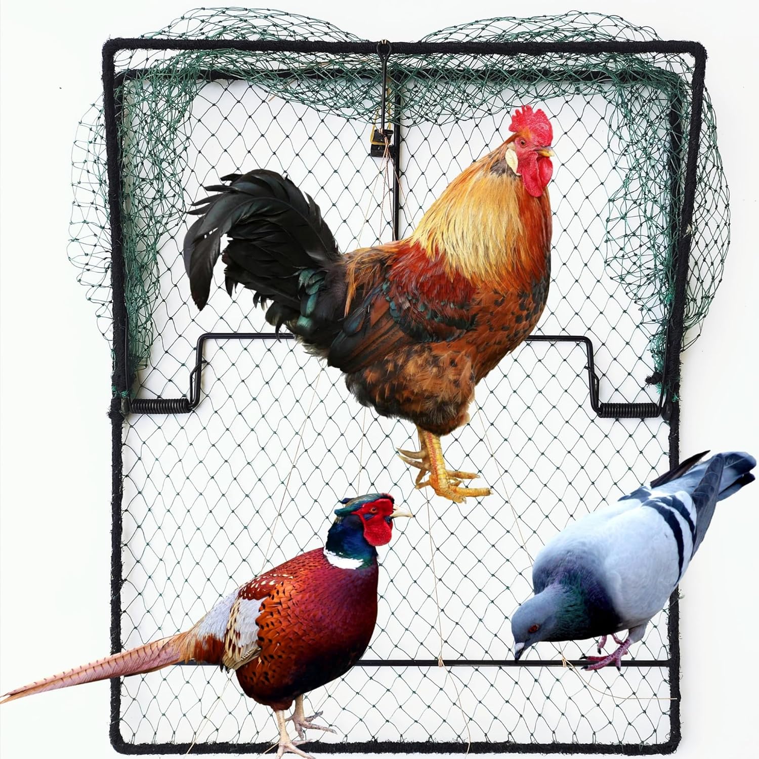 Pigeon Bird Trap Trapping Chicken Quail 2 Pack Spring Starling Catching Net Traps