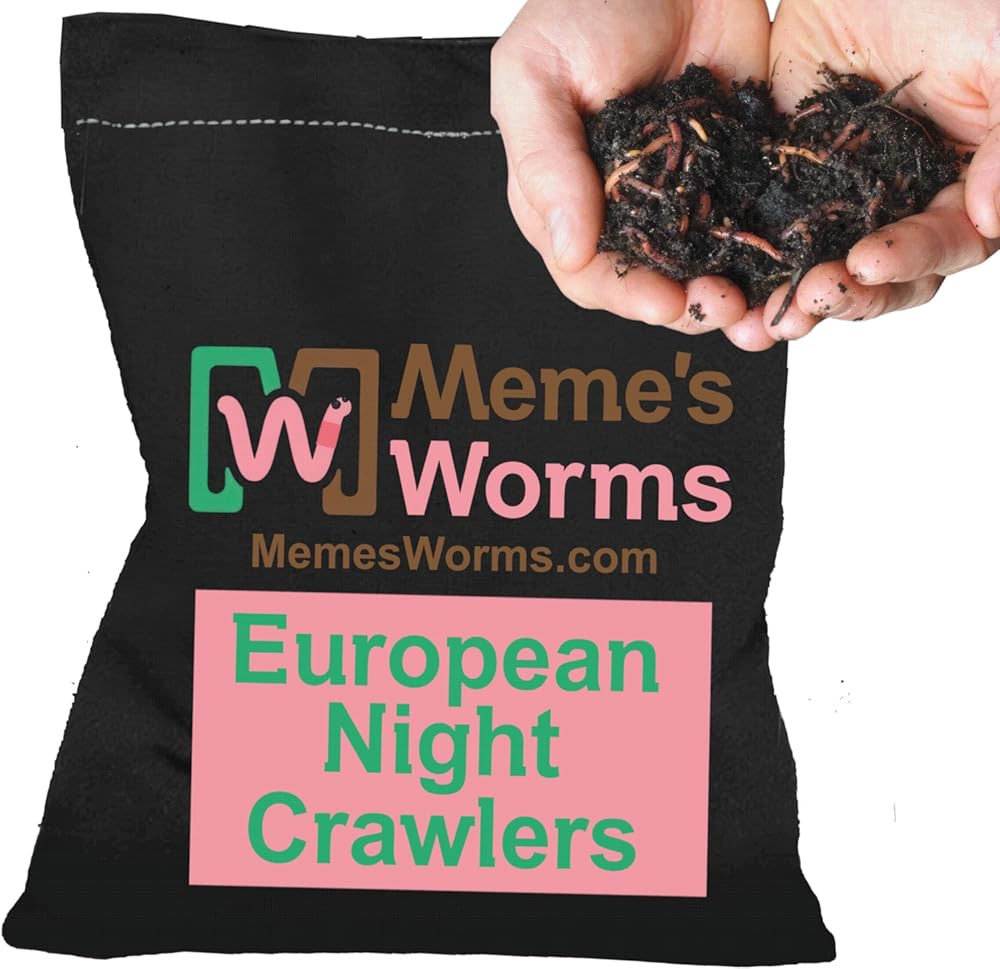 European Nightcrawlers, Memes Composting Worms – Farm Raised & Fresh Harvested – Shipped Safely – for Worm Bins, Raised Beds & Gardening, or Fishing – USA Grown – 5 lbs (Approx. 1750 Worms)