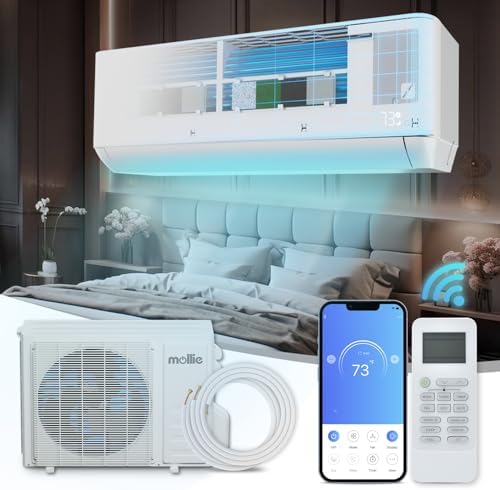 mollie 18000 BTU Mini Split Air Conditioner w/4-in-1 Filters, 208/230V 22 SEER2 AC Unit with Smart App Control, Cools Up to 1000 Sq. Ft, Pre-Charged Heat Pump and Installation Kits
