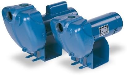 Pentair DS3HG-01 Single-Phase Self Priming High Head Centrifugal Pool and Spa Pump, 2 HP
