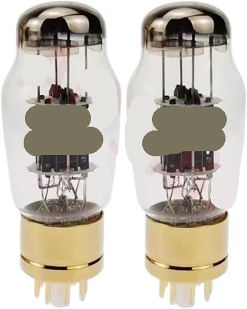 1/2/4PCS WE6SN7 Tube Amplifier(2 PCS WE6SN7)