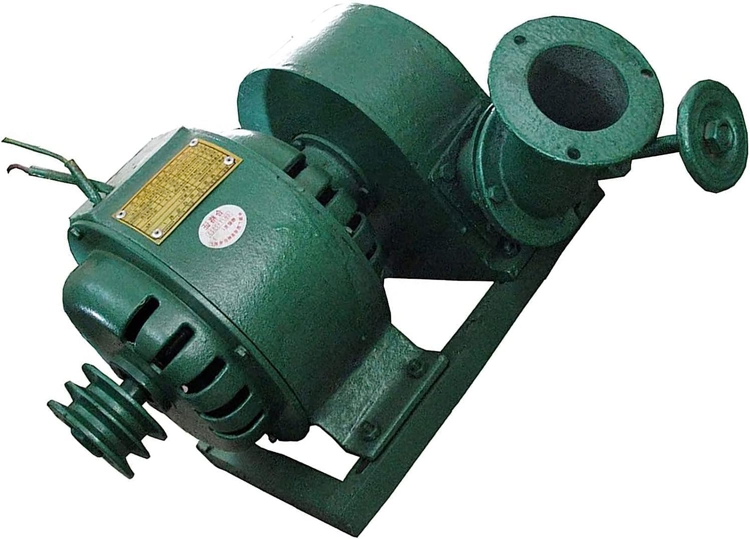 CAJUCA Hydroelectric Power Generator 1KW Water Turbine Generator Water Wheel Generator, Hydro Generator, Micro Hydro Turbine