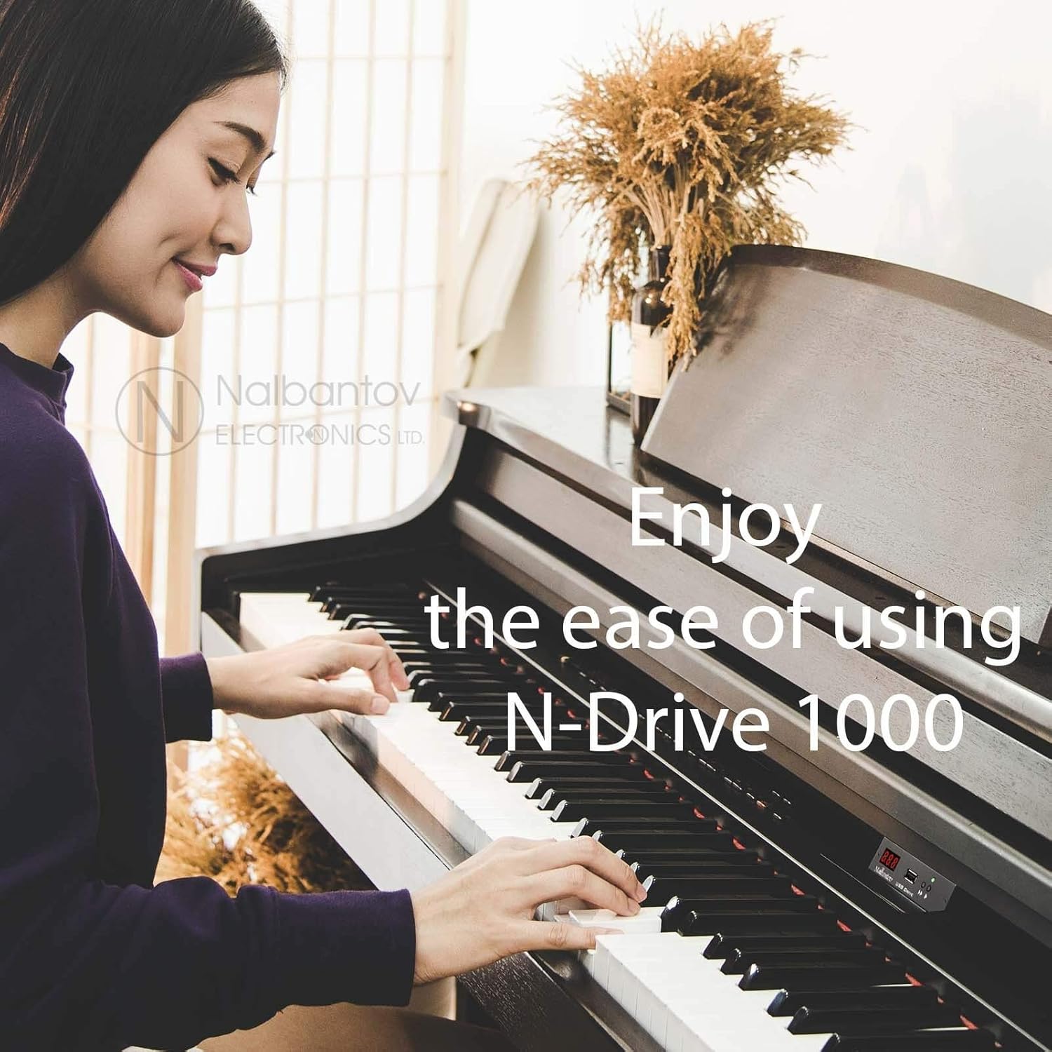 Floppy Disk USB Emulator Nalbantov N-Drive 1000 for Korg Triton & Triton Pro ProX Rack