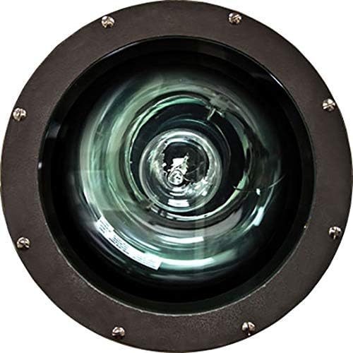 Dabmar Lighting FG4290-MT Fiberglass 70W MH/De Multi Tap Light, Bronze Finish