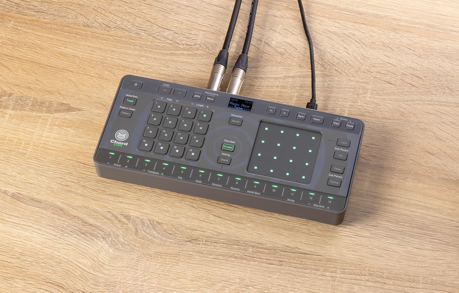 Alpha Theta Chordcat 8-Track groovebox