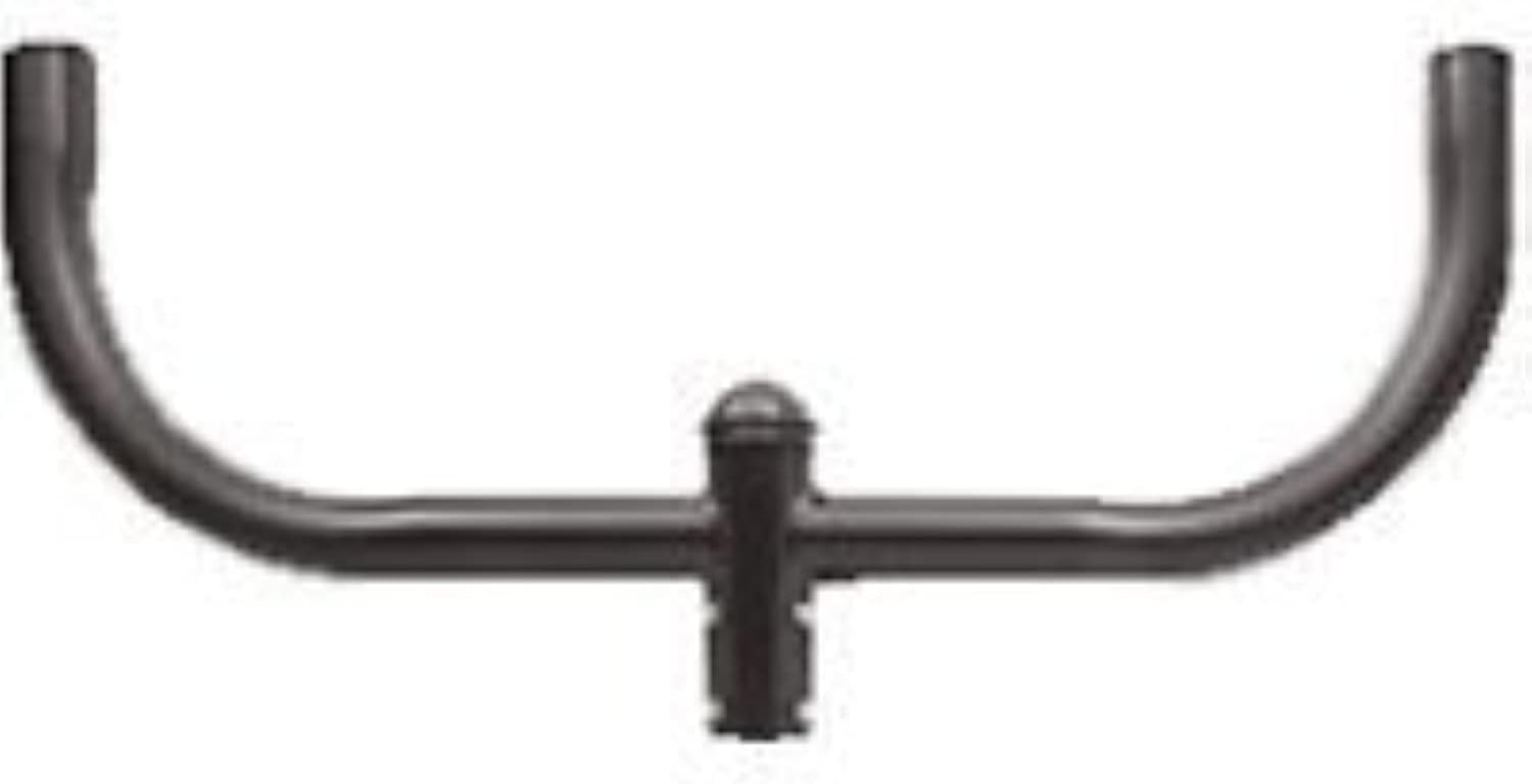 RAB Lighting BULL2 Bullhorn Bracket for 2 Lights, Steel, 36