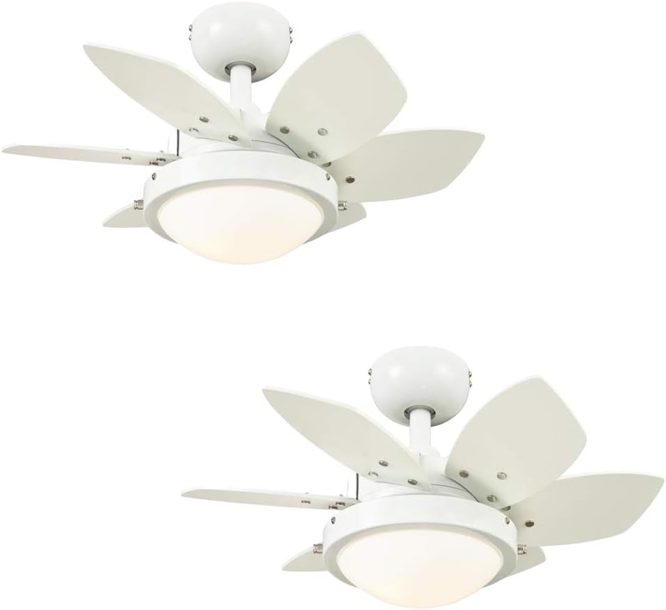 Ciata Small Ceiling Fan With Light, 24 Inch Quince Indoor Ceiling Fan in White Finish with LED Light Fixture in Opal Frosted Glass with Reversible White/Beech Blades – 2 Pack