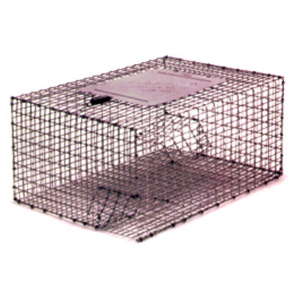 Bird Trap, 17-1/4 in. L, 12-1/4 in. W