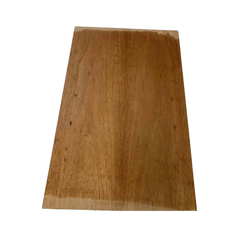 Exotic Wood Zone's Explorer Guitar Body Blank Wood | bass Body Blank | Musical luthier Guitar Body Blank (Spanish Cedar, 2 Glued Piece, Size: 28